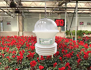 “智能花藍(lán)”4G環(huán)境數(shù)據(jù)監(jiān)測(cè)儀