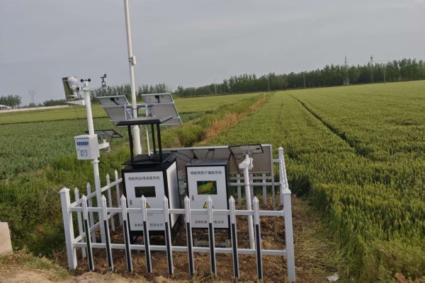 MC-CQCB-II型物聯(lián)網智能蟲情測報燈